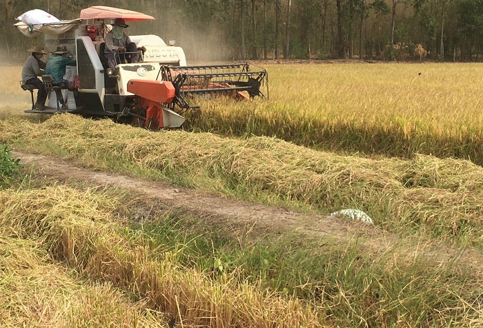 Siết chặt quản lý hoạt động buôn bán vật tư nông nghiệp