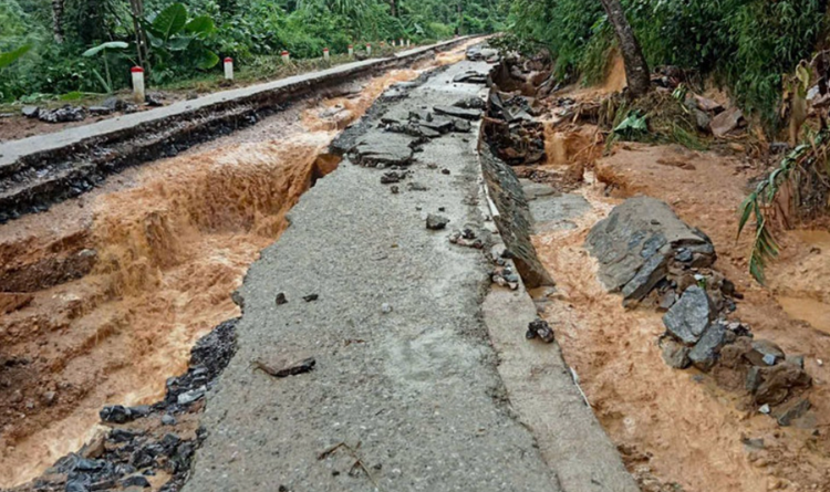 Số hoá trong quản lý và khai thác thủy sản