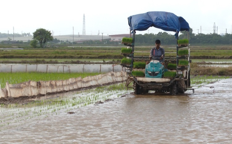 Khoa học công nghệ góp phần hiện đại hoá ngành nông nghiệp