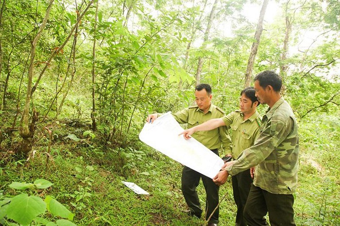 Hà Nội nâng tỷ lệ che phủ rừng từ 5,67-6,2% đến năm 2025