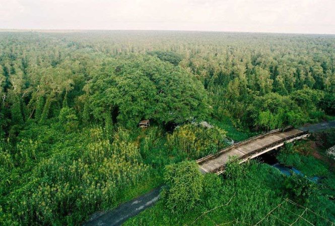 Các tỉnh ĐBSCL: Sẵn sàng phòng chống cháy rừng