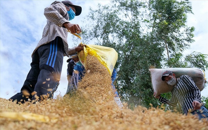 Tăng cường giải pháp ứng phó khô hạn, xâm nhập mặn