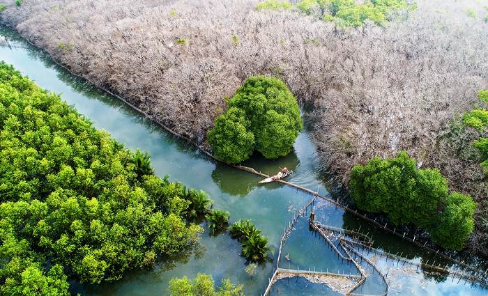 Nguồn tài nguyên biển đang bị phá hủy bởi ô nhiễm