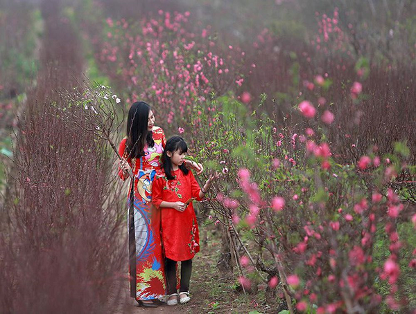 Thiên nhiên - Môi trường