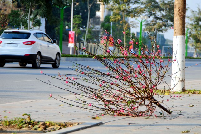 Hà Nội tăng cường kiểm tra, xử lý vi phạm vệ sinh môi trường dịp trước, trong và sau Tết