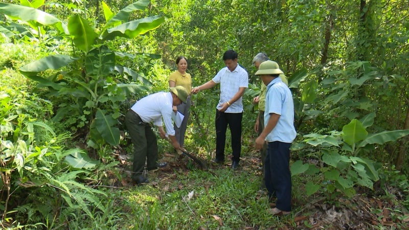 Phát triển rừng theo hướng đa chức năng trên cơ sở tiềm năng và lợi thế