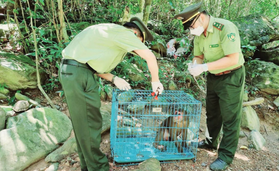 Lạng Sơn: Tăng cường tuyên truyền bảo vệ các loài động vật hoang dã
