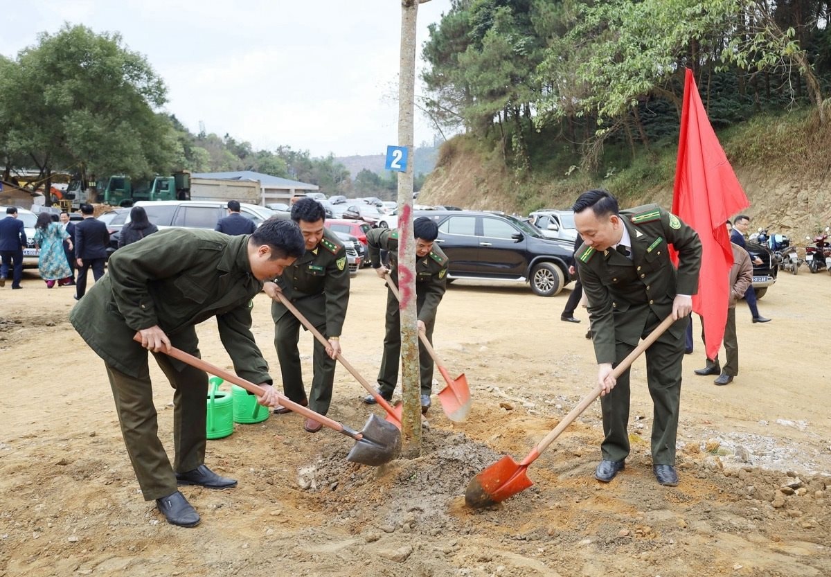 Lào Cai: Trồng mới hơn 60 ha rừng ngay trong tháng đầu năm 2025