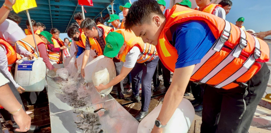 Đồng bằng sông Cửu Long tổ chức thả hơn 215.000 con cá giống, tái tạo nguồn lợi thủy sản