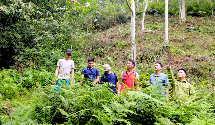 Cao Bằng: Quy định nội dung về chi trả dịch vụ môi trường rừng