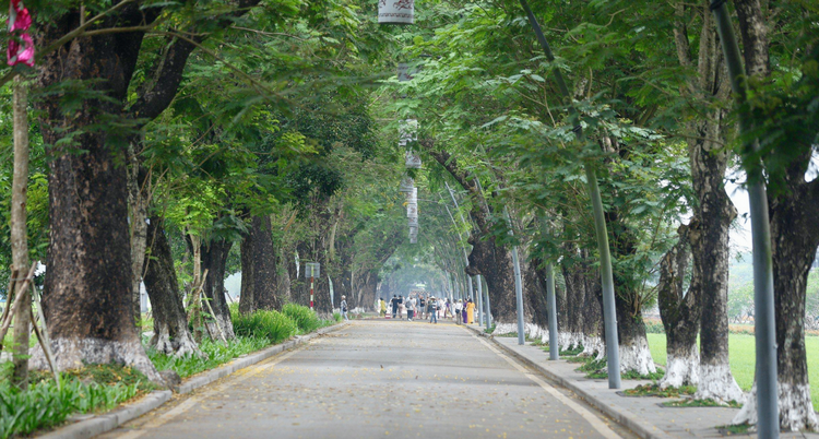 Thúc đẩy số hóa cây xanh đô thị tại thành phố Huế