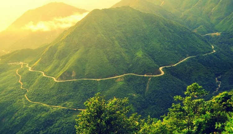 Chú trọng phát triển công nghiệp sinh học, cải thiện chất lượng môi trường