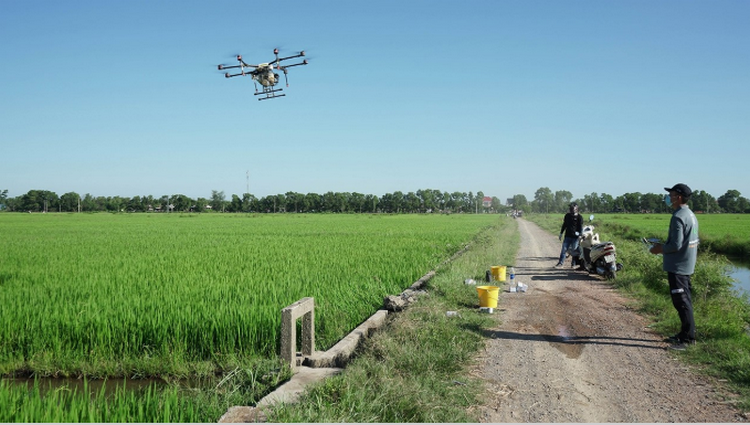 Đà Nẵng: Ứng dụng công nghệ mở rộng liên kết sản xuất nông nghiệp