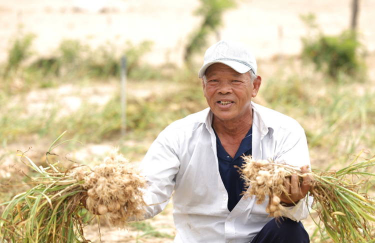 Phát triển sản phẩm OCOP, nâng tầm nông sản địa phương