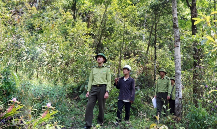 Lào Cai nâng cao công tác bảo vệ rừng mùa hanh khô