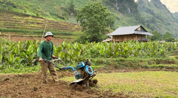 Hiệu quả thiết thực từ cơ giới hoá nông nghiệp