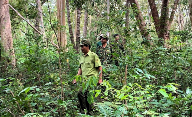 Triển khai đồng bộ, hiệu quả các biện pháp phòng chống cháy rừng trong mùa khô