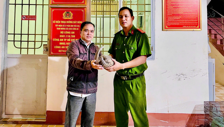 TP.HCM: Người dân chủ động giao nộp cá thể tê tê quý hiếm