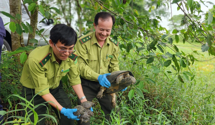 Nâng cao hiệu quả quản lý động vật hoang dã ở An Giang