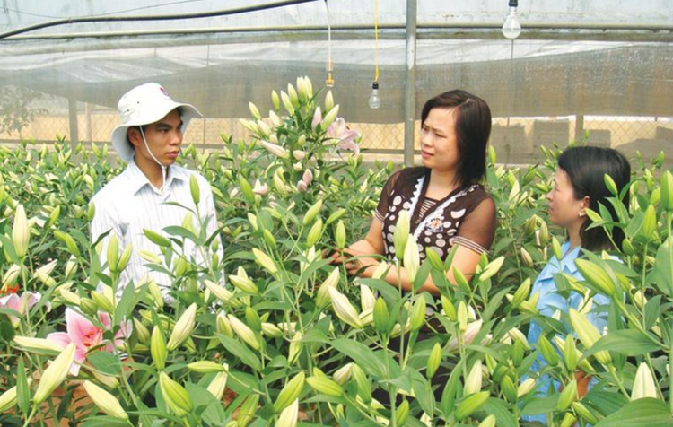 Thúc đẩy khoa học kỹ thuật trong phát triển nông lâm nghiệp