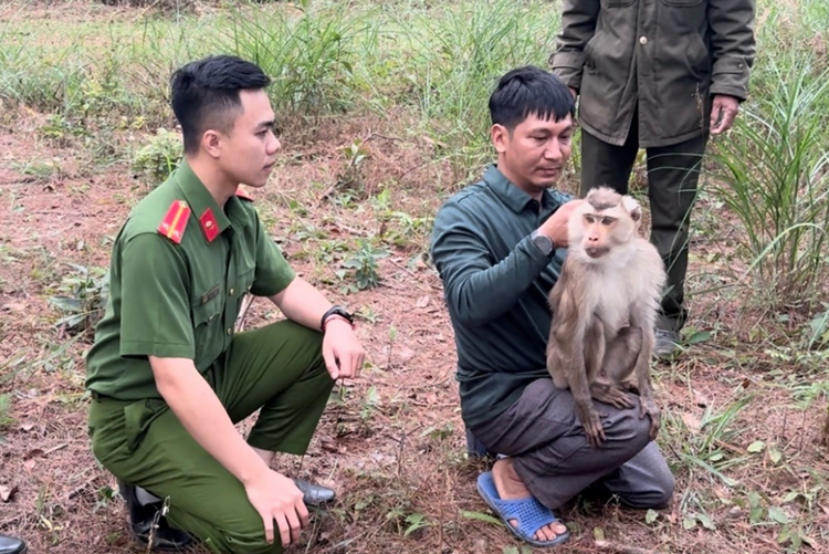 Siết chặt công tác quản lý, bảo vệ động vật hoang dã