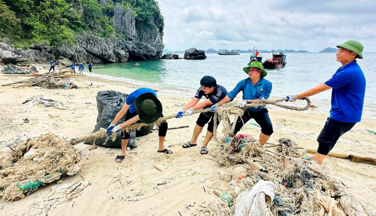 Quảng Ninh: Đa dạng các giải pháp trong bảo vệ môi trường tự nhiên