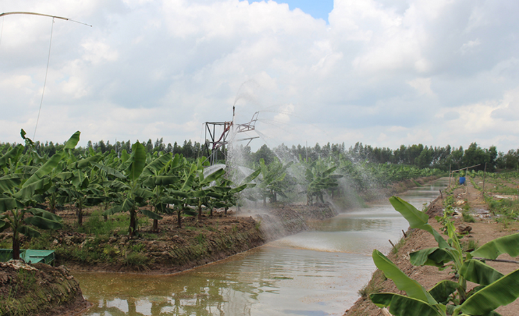 An Giang: Phân bổ gần 300 tỷ đồng phòng, chống hạn, mặn