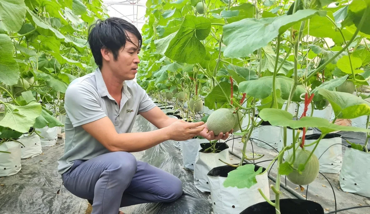 Công nghệ cao góp phần nâng cao giá trị nông sản tại Nghệ An