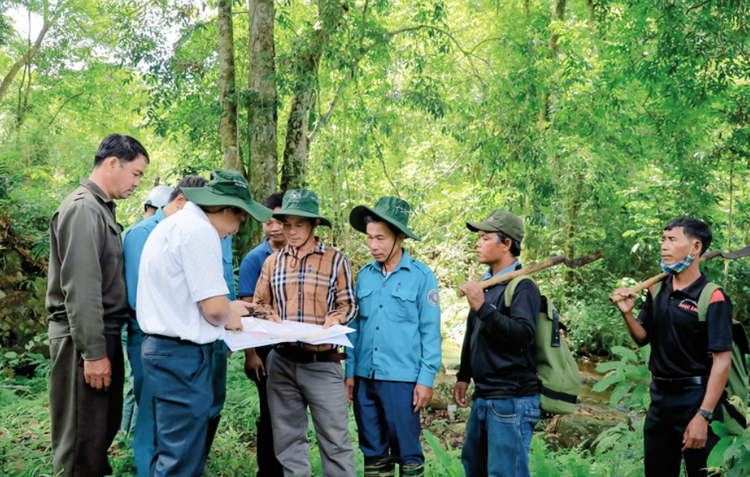 Gia Lai: Ban hành Quy định mới về chi trả dịch vụ môi trường rừng