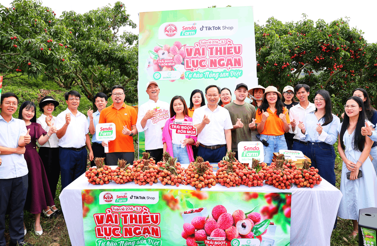 Ứng dụng công nghệ số trong xúc tiến thương mại