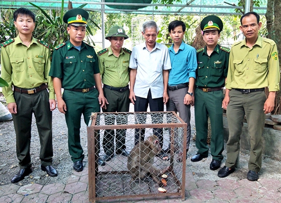 Hà Tĩnh: Người dân bàn giao cá thể khỉ mốc quý hiếm