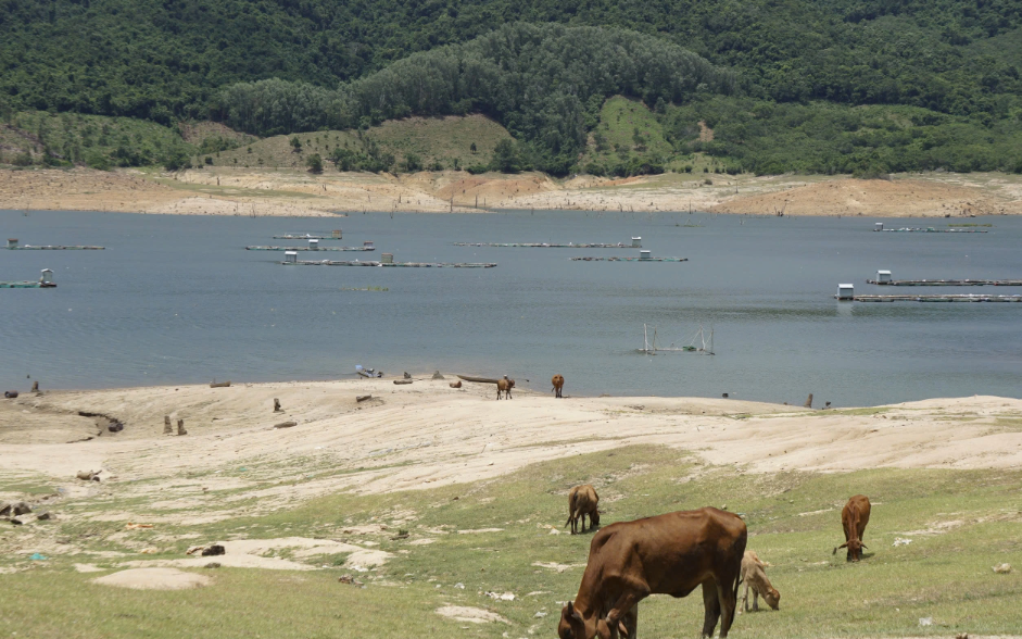 Gia Lai: Kiến nghị bố trí 1.200 tỷ đồng cải tạo hồ Định Bình