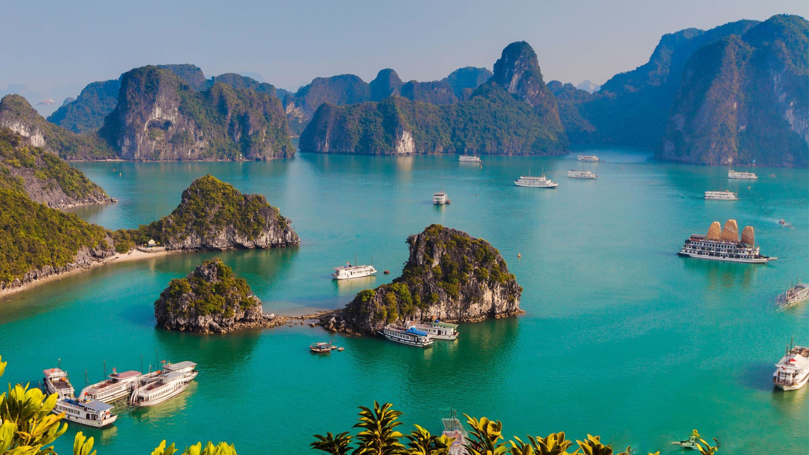 Quảng Ninh: Nghiên cứu thành lập Khu bảo tồn biển vịnh Hạ Long