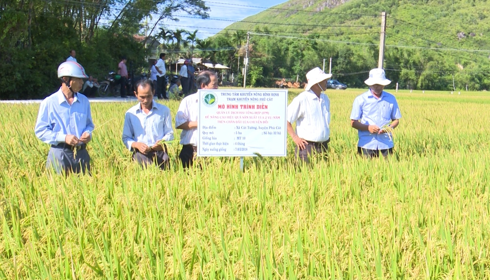 Nhân rộng mô hình canh tác ứng dụng IPM trên cây trồng ở Hưng Yên