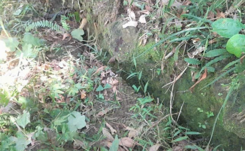 Quảng Ngãi: Xuất hiện vết nứt lớn trên núi, sẵn sàng di dời hàng chục hộ dân