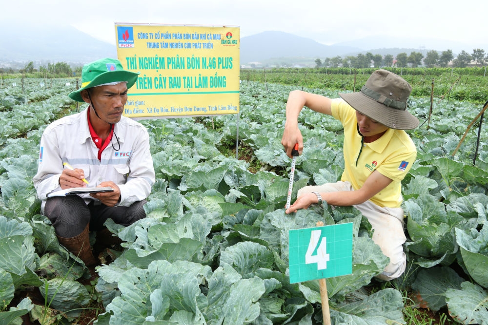 Lâm Đồng: Xây dựng nền nông nghiệp bền vững gắn với bảo vệ môi trường