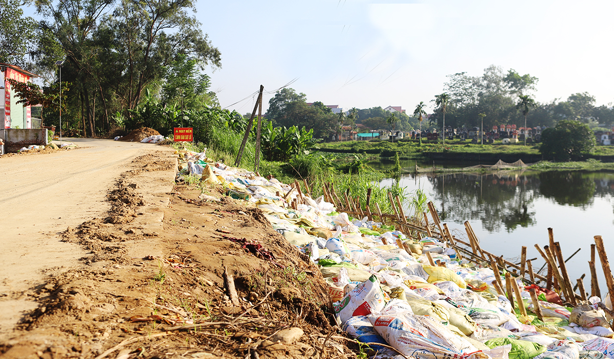 Bắc Ninh: Khẩn trương khắc phục sự cố đê điều, đảm bảo an toàn dân cư