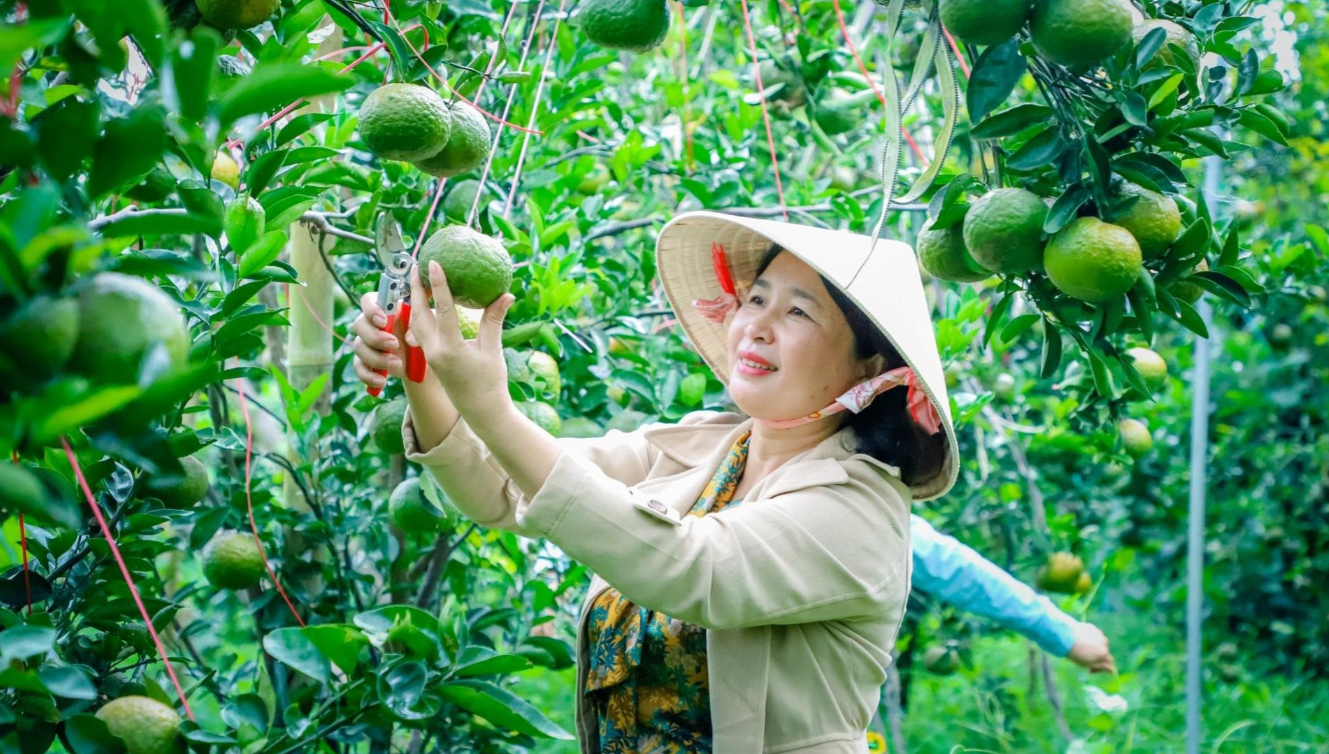 Hải Phòng đẩy mạnh chuyển đổi số, tạo sức bật cho sản phẩm OCOP