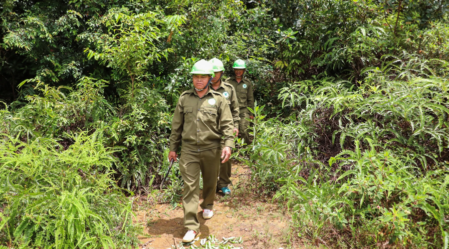 Cao Bằng: Điều chỉnh chỉ tiêu nâng cao chất lượng rừng, phòng chống thiên tai