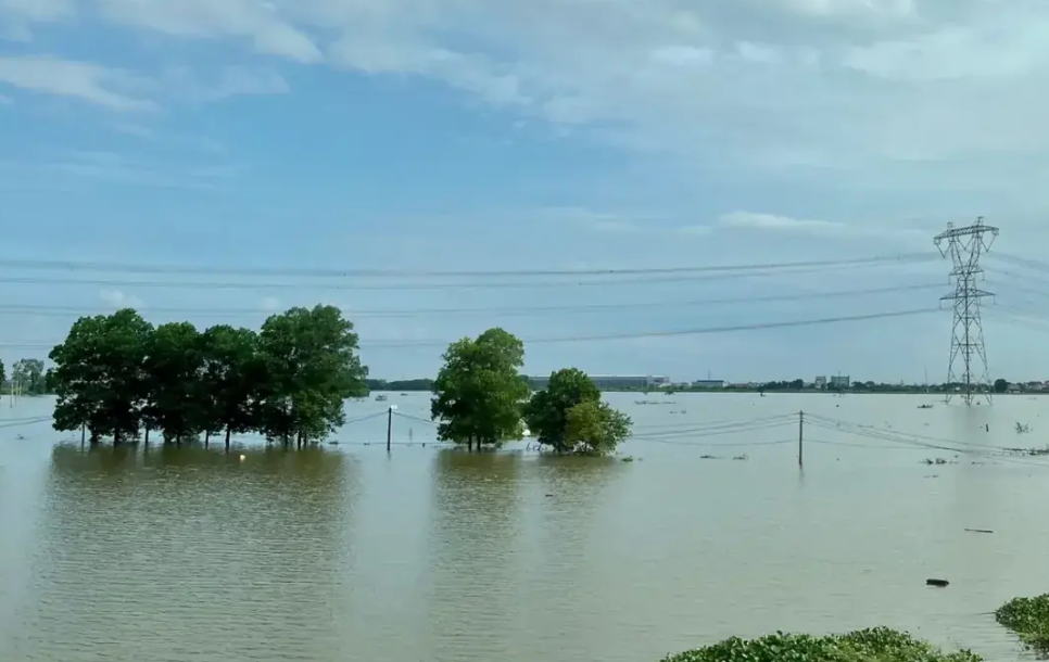  Hà Nội: Báo động lũ trên sông Tích, nguy cơ ngập lụt nhiều địa phương ven sông