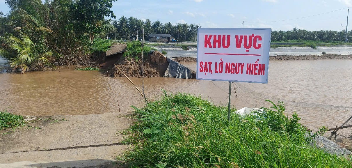 Vĩnh Long: Công bố tình huống khẩn cấp sạt lở đê bao cồn Thanh Long