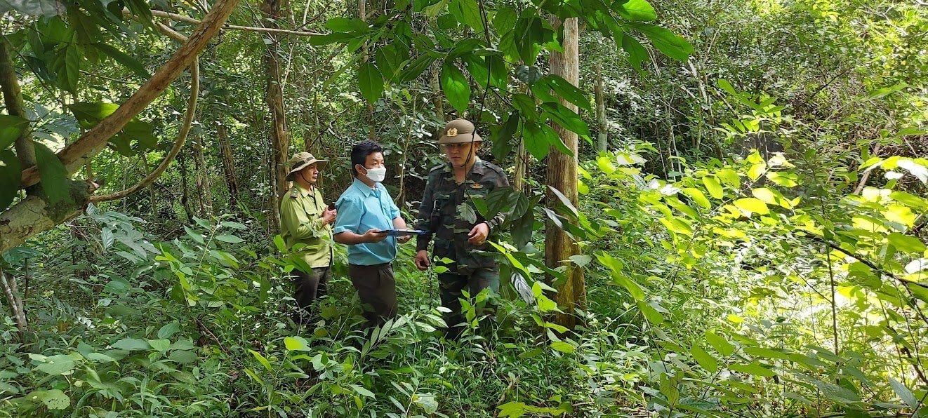 Bắc Ninh: Tăng cường tuần tra, bảo vệ rừng trong mùa hanh khô