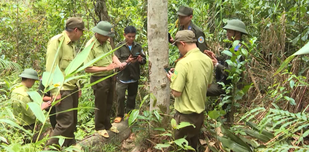 Số hóa quản lý rừng, bước tiến mới trong bảo vệ “tài nguyên xanh”