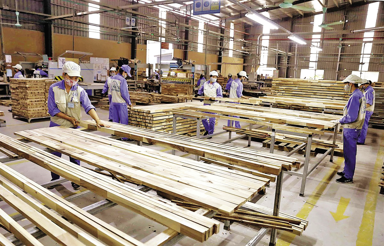 Phát huy tiềm năng rừng nguyên liệu, đẩy mạnh chế biến gỗ xuất khẩu