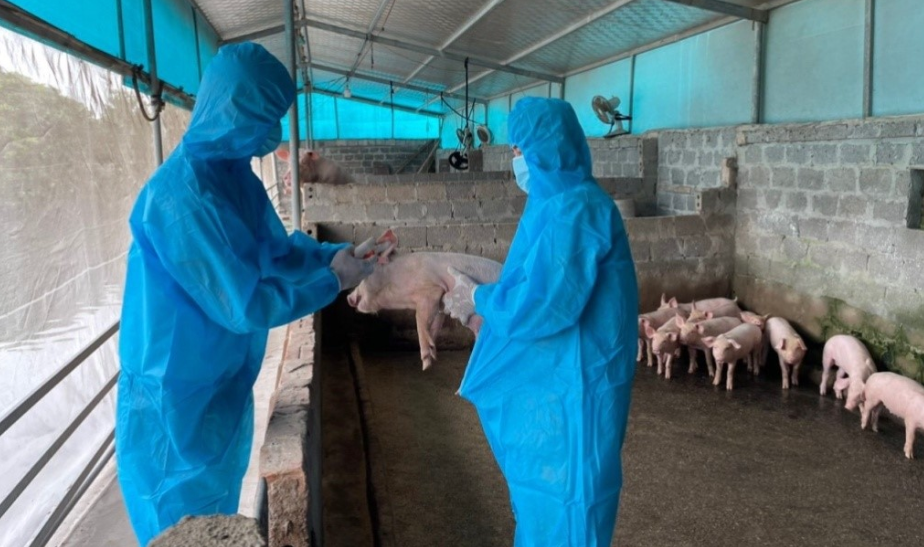 Tăng cường kiểm soát biên giới, ngăn chặn buôn bán vận chuyển trái phép động vật