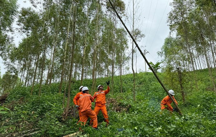 Điện lực Quảng Trị tăng cường phương án bảo đảm an toàn lưới điện trước bão số 5