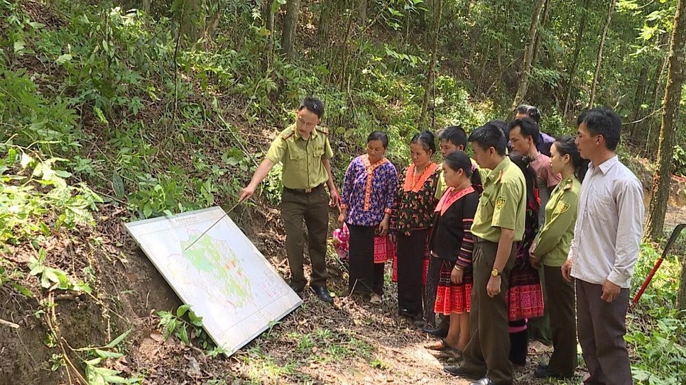 Điện Biên: Đẩy mạnh bảo tồn, tạo sinh kế bền vững cho người dân