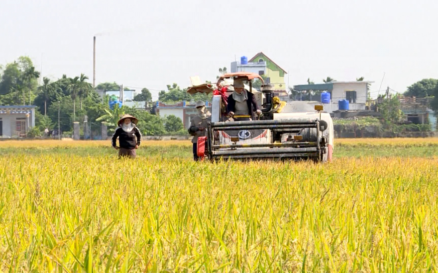 Điện Biên: Tập trung đổi mới các mô hình sản xuất nông nghiệp