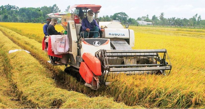 Ninh Bình: Thúc đẩy ứng dụng cơ giới hoá trong canh tác nông nghiệp