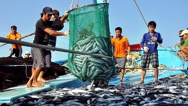 Ninh Bình: Giám sát, ngăn chặn tình trạng khai thác hải sản trái quy định
